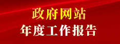政府网站年度工作报告